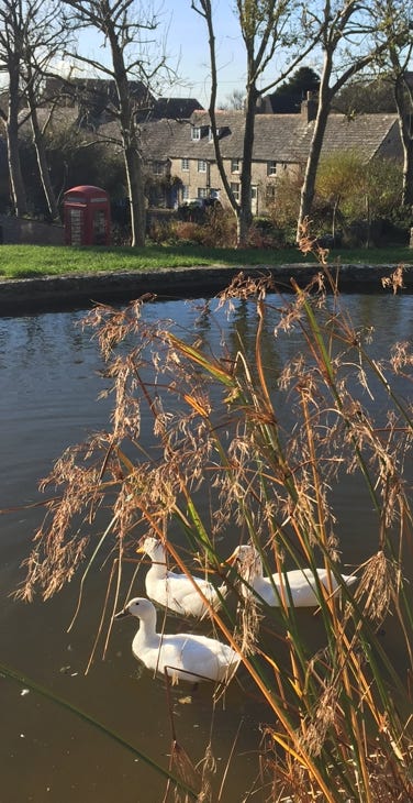 The Pond, Worth Matravers